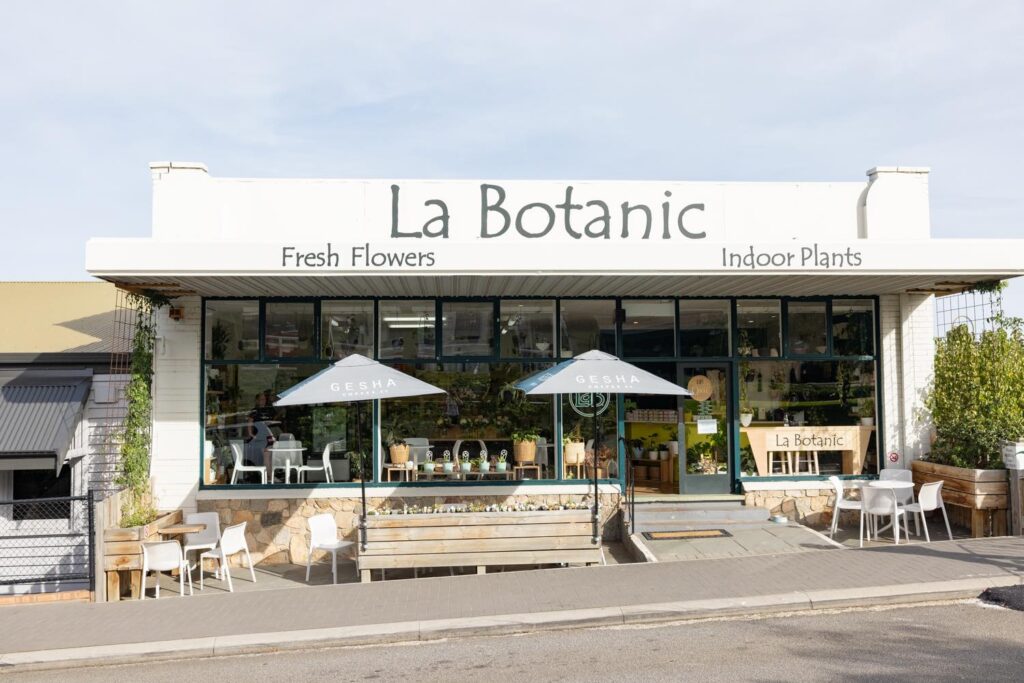 490300418_1229907482475020_532108966433686193_n