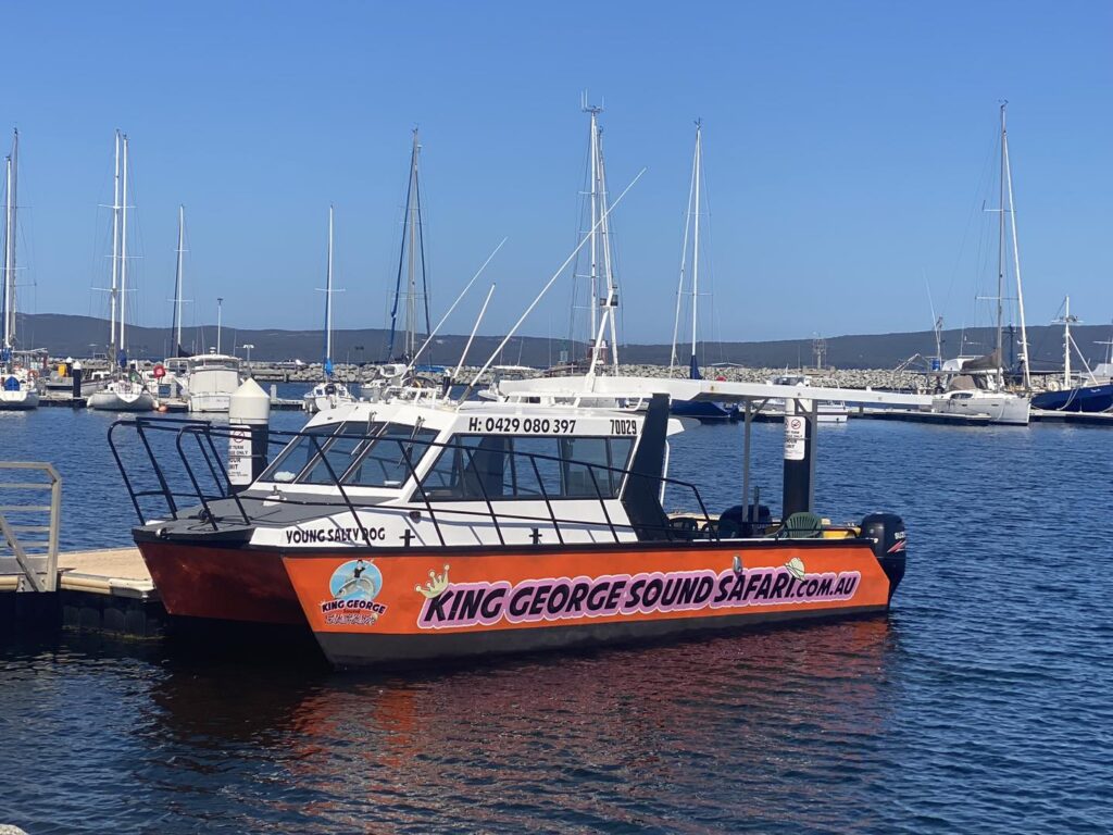 492501679_1216805983787813_4781805324589392834_n