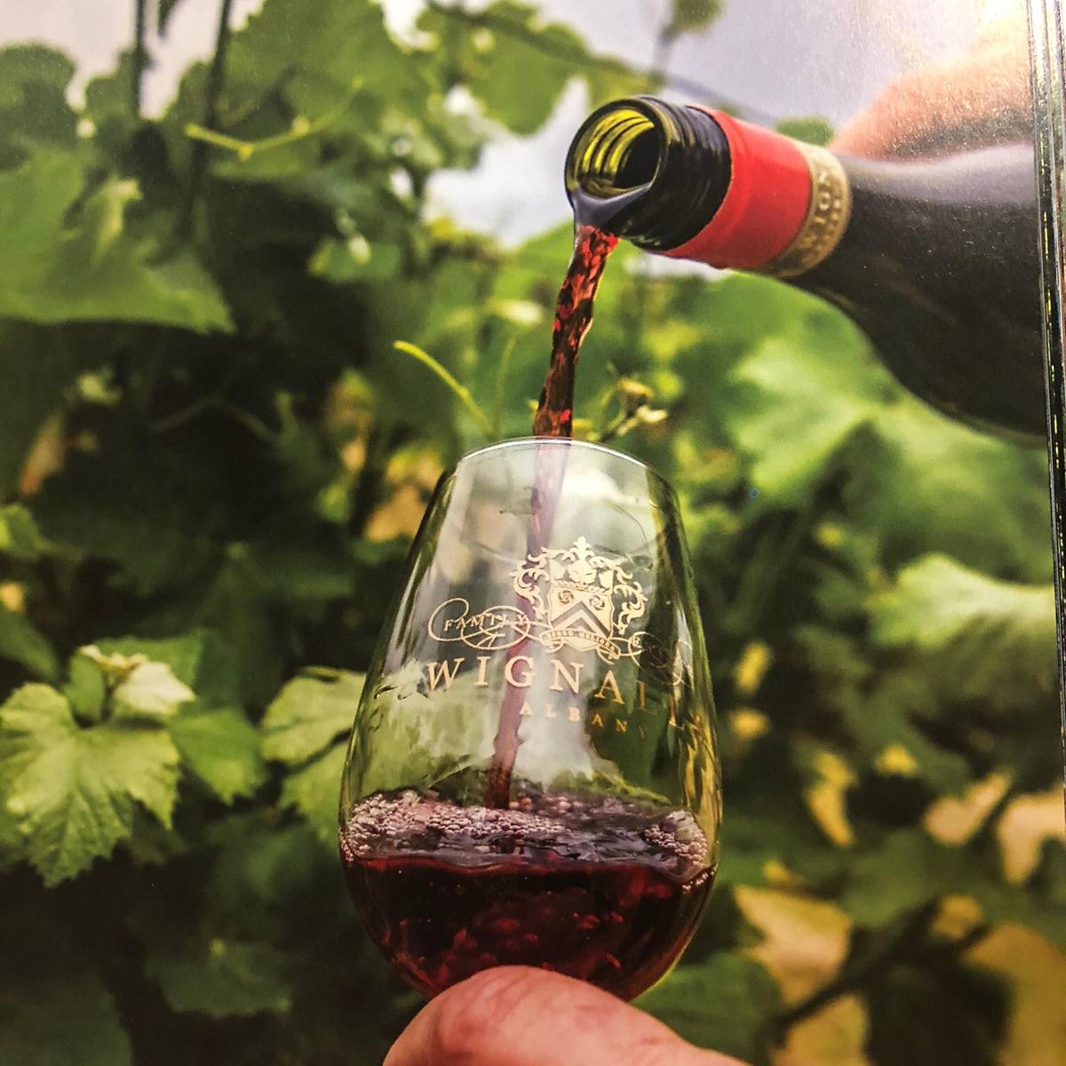 WIGNALLS WINES, Albany WA