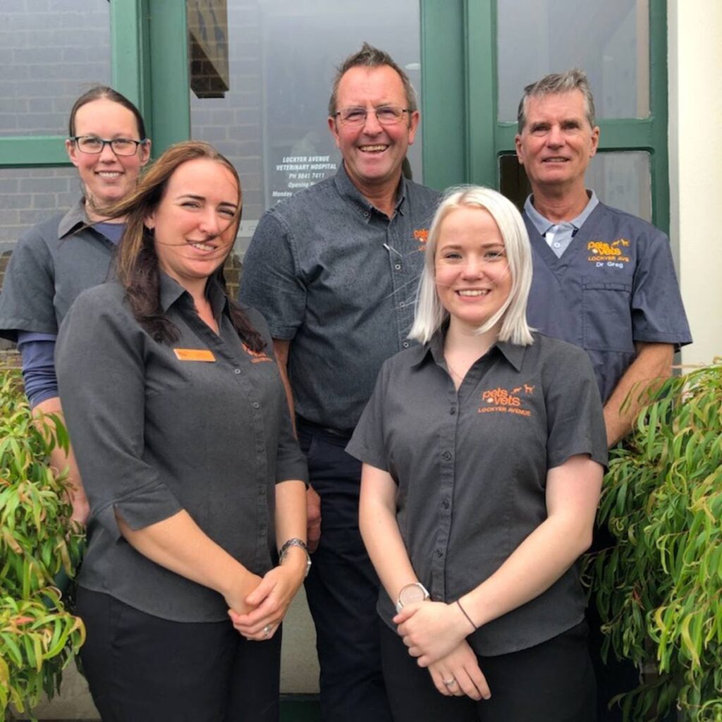 Lockyer Avenue Vet Hospital, Albany WA