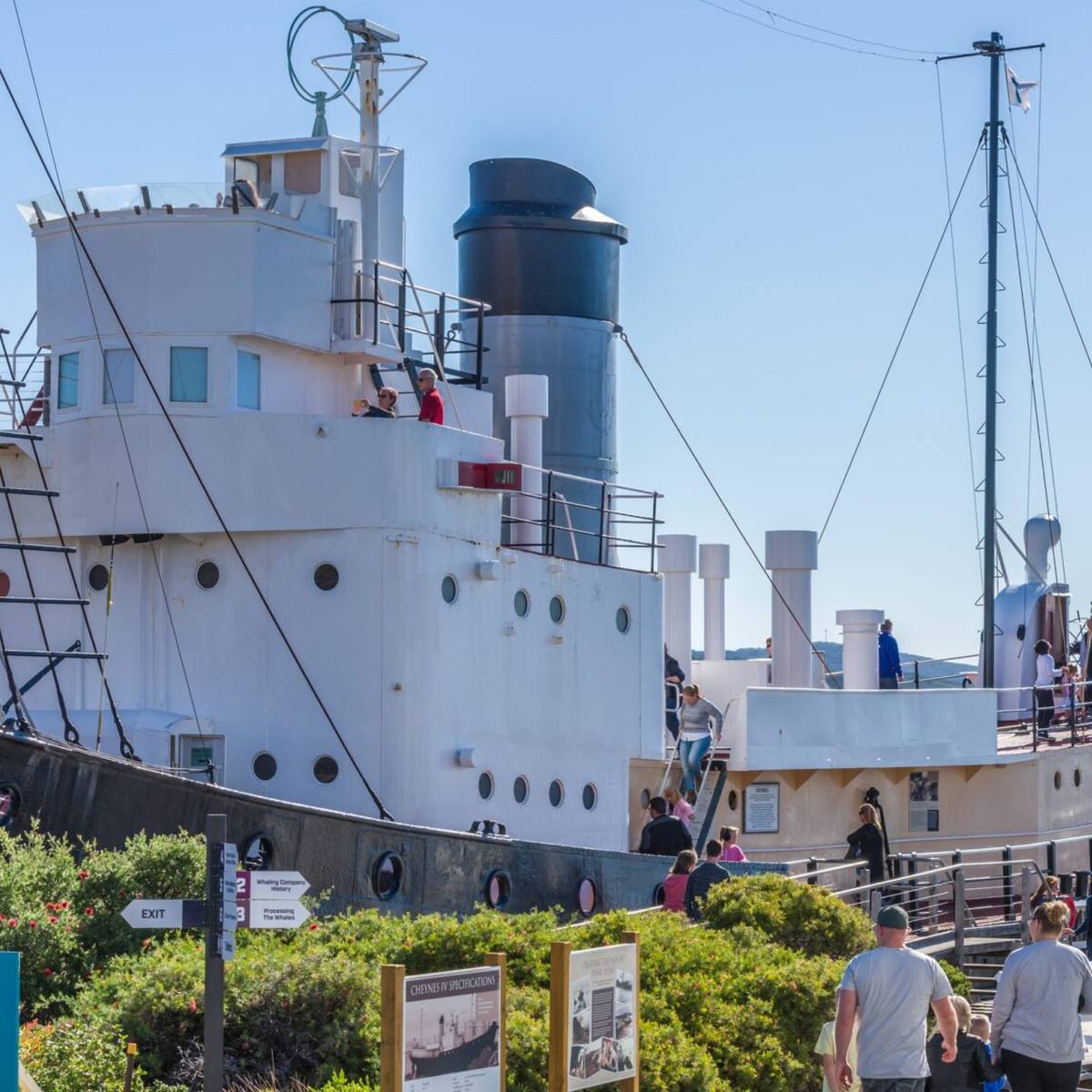 ALBANY'S HISTORIC WHALING STATION, Albany WA