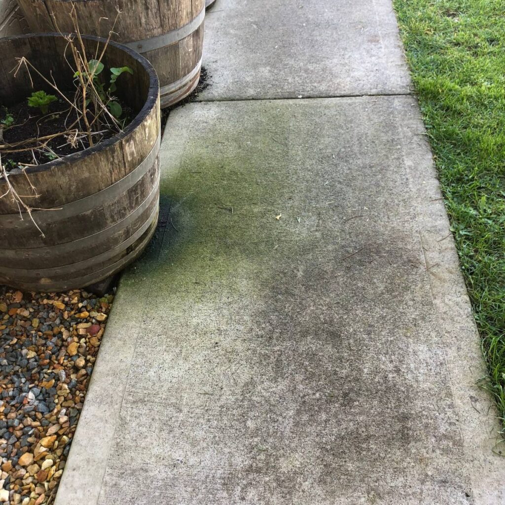 ANYTIME CARPET CLEANING, Albany WA
