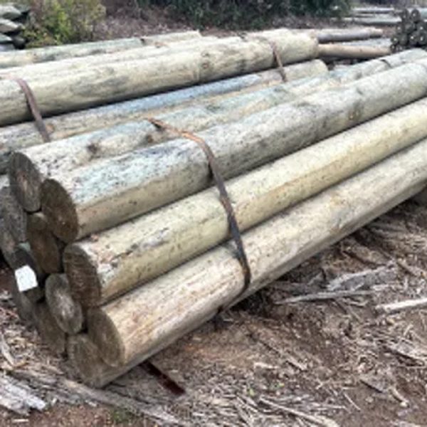 MINORBA PINE PRODUCTS – Alby listing image MINORBA PINE PRODUCTS, Albany WA