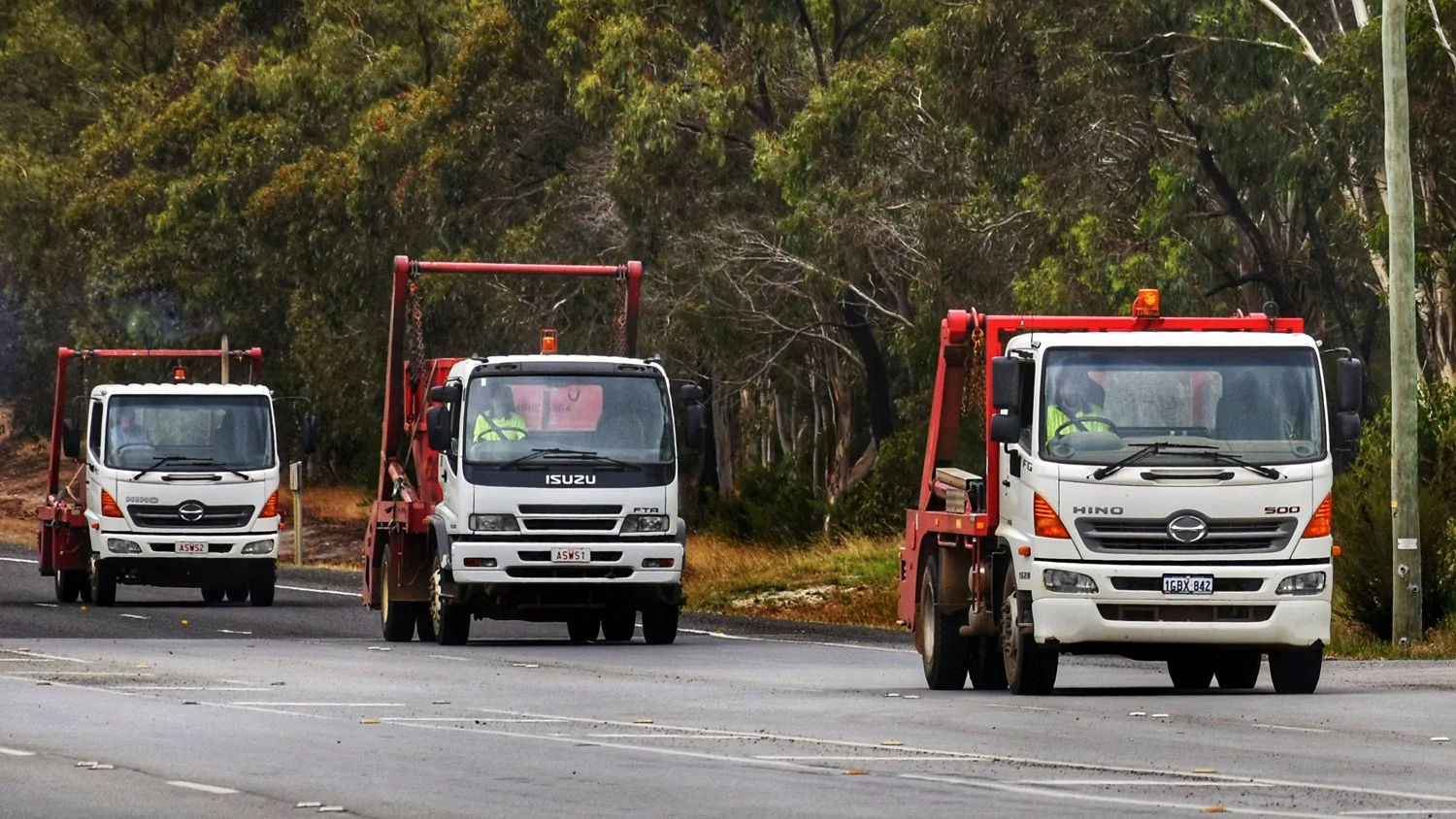 Albany skips truck fleet