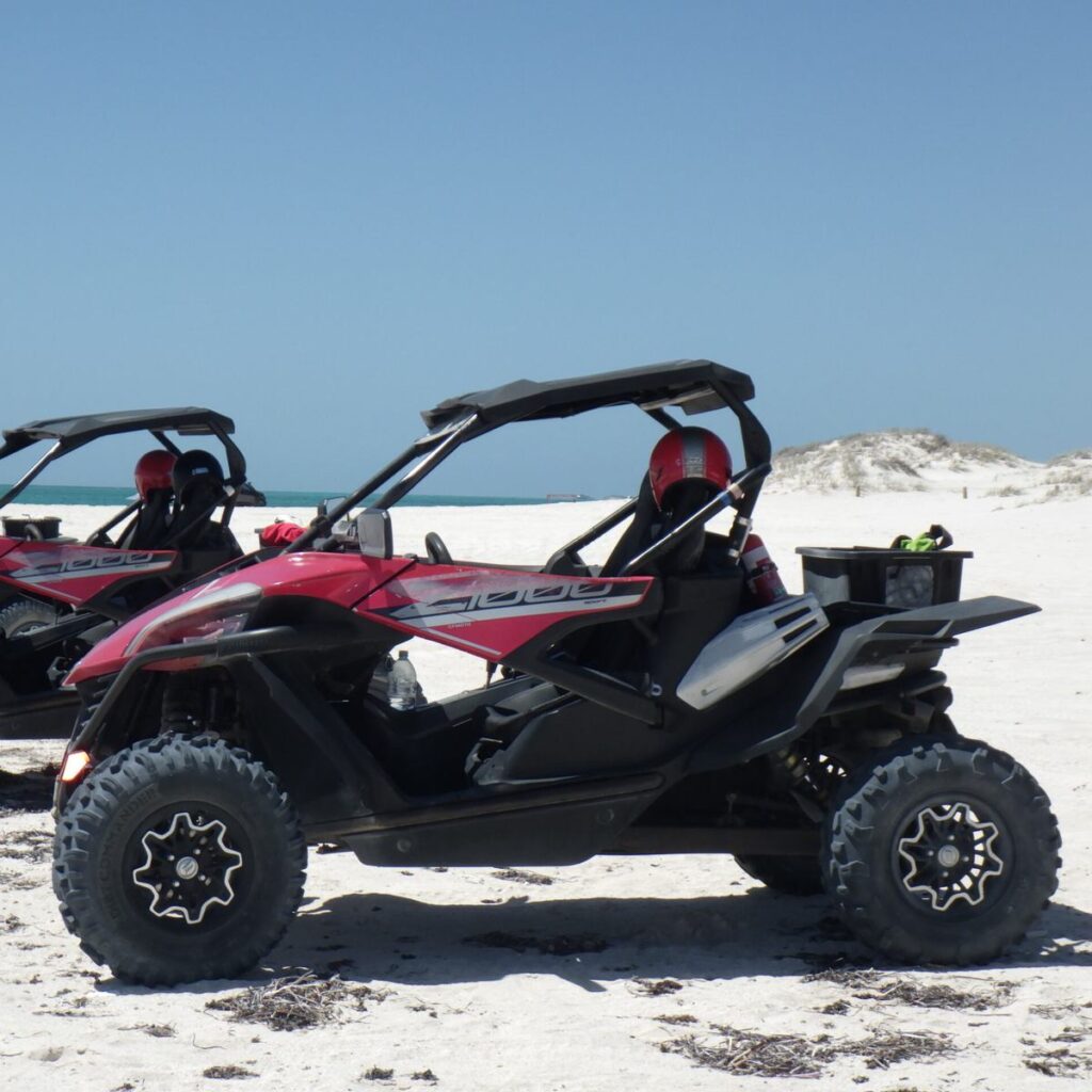 Coral Coast Tours, Carnarvon WA