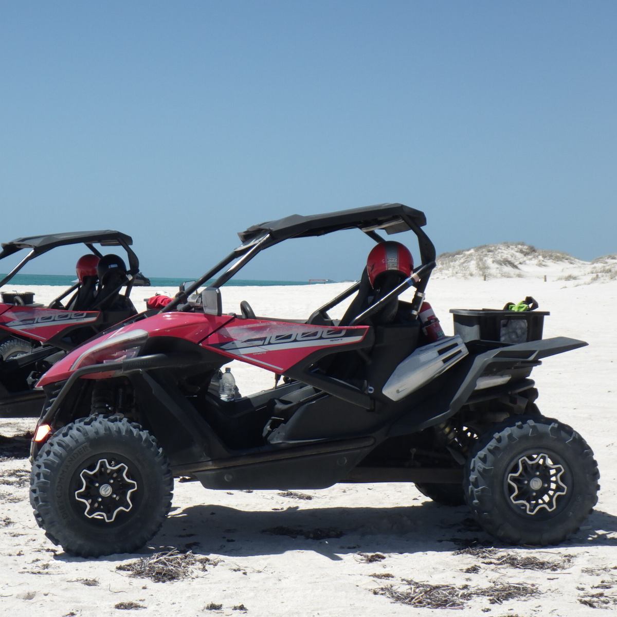 Coral Coast Tours, Carnarvon WA