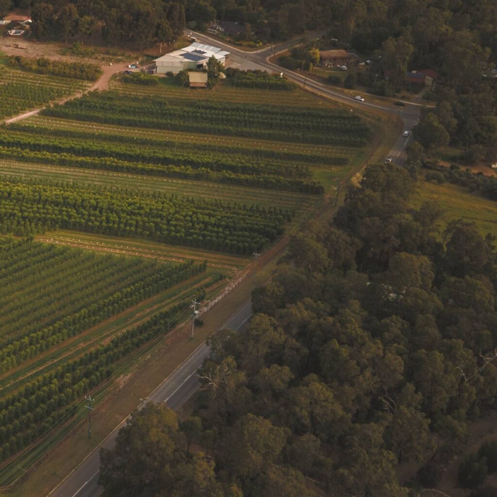 Raeburn Orchards, Armadale WA