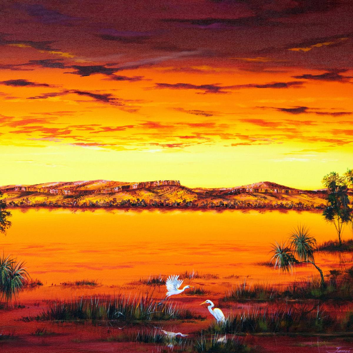 Broome Gallery, Broome WA