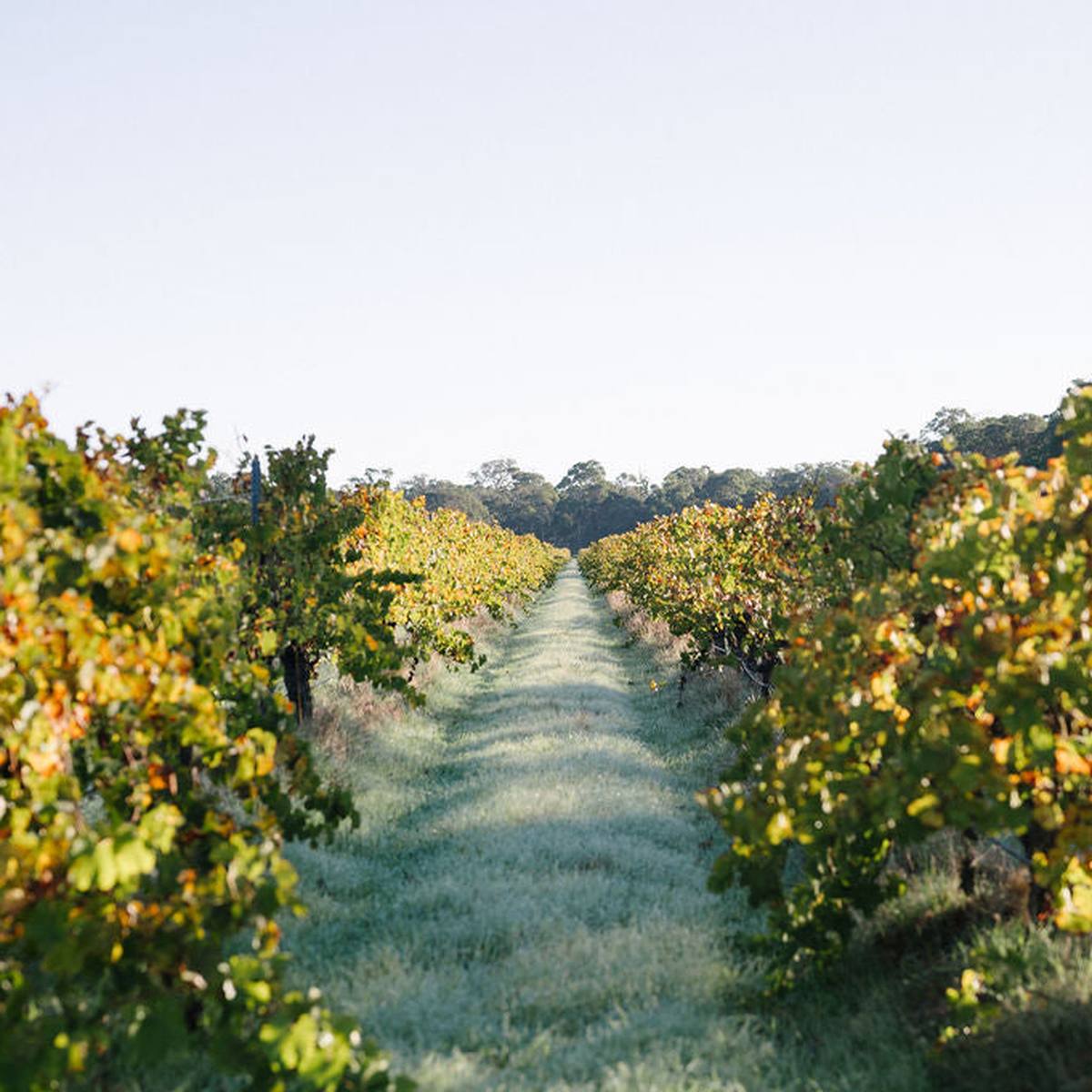 Blind Corner Organic Winery, Brewery & Bar, Busselton WA