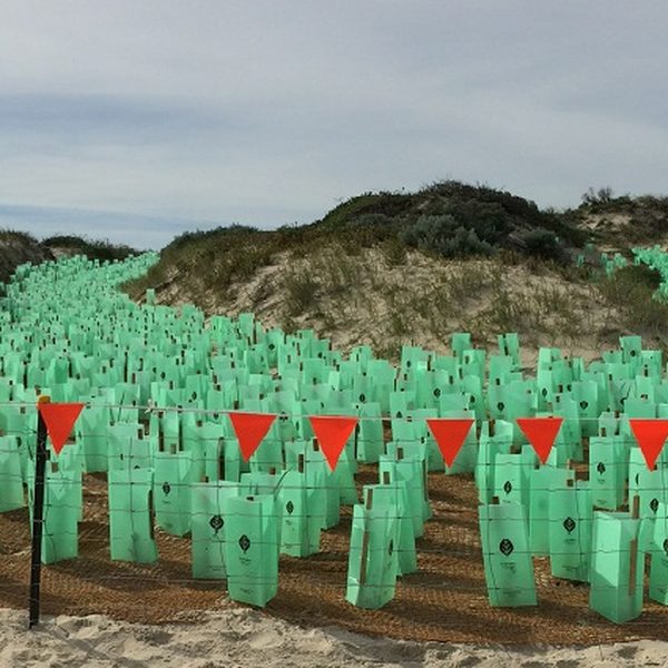 Tranen Revegetation Systems – Alby listing image Tranen Revegetation Systems, Busselton WA