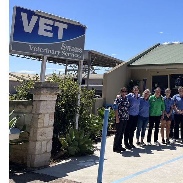 Swans Veterinary Services – Alby listing image Swans Veterinary Services, Esperance WA