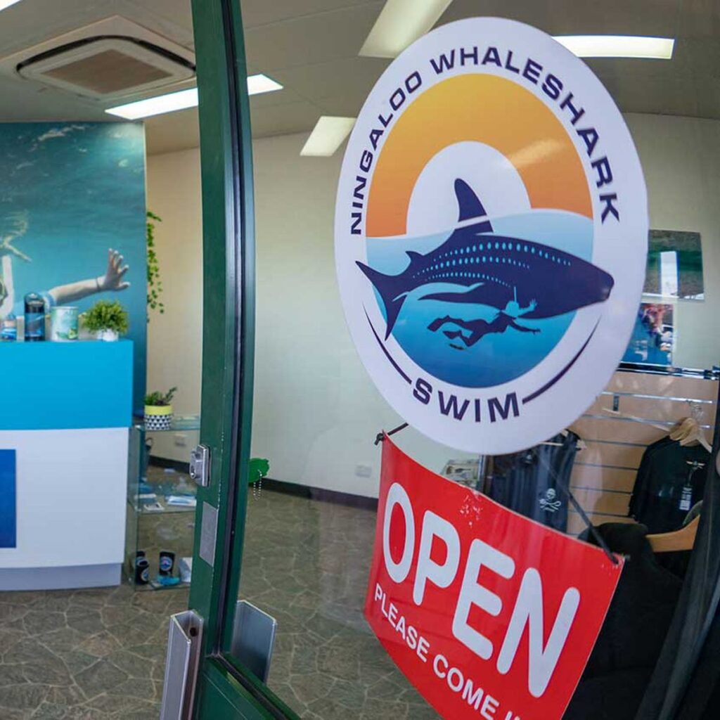 Ningaloo Whaleshark Swim, Exmouth WA
