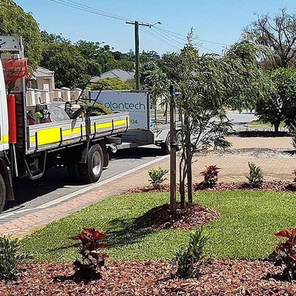 Plantech – Alby listing image Plantech, Canning WA
