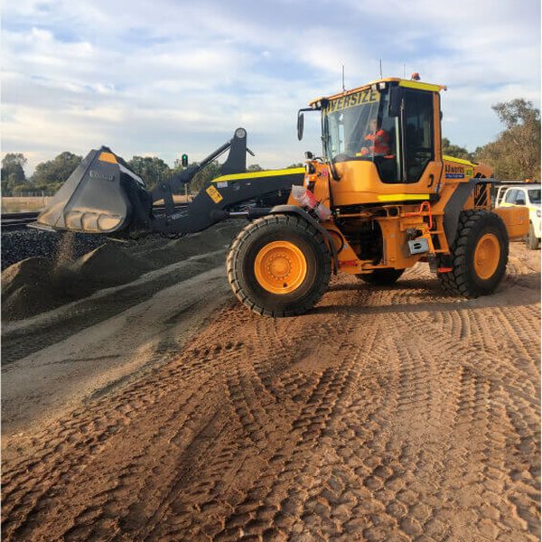 Triodia, Kalgoorlie-Boulder WA