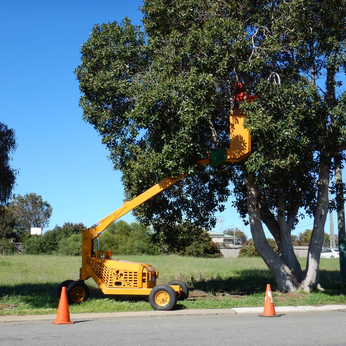 Aussie Tree Services, Geraldton WA