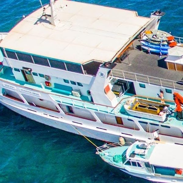 Eco Abrolhos Cruises – Alby listing image Eco Abrolhos Cruises, Geraldton WA