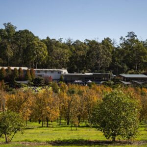 Core Cider, Kalamunda WA