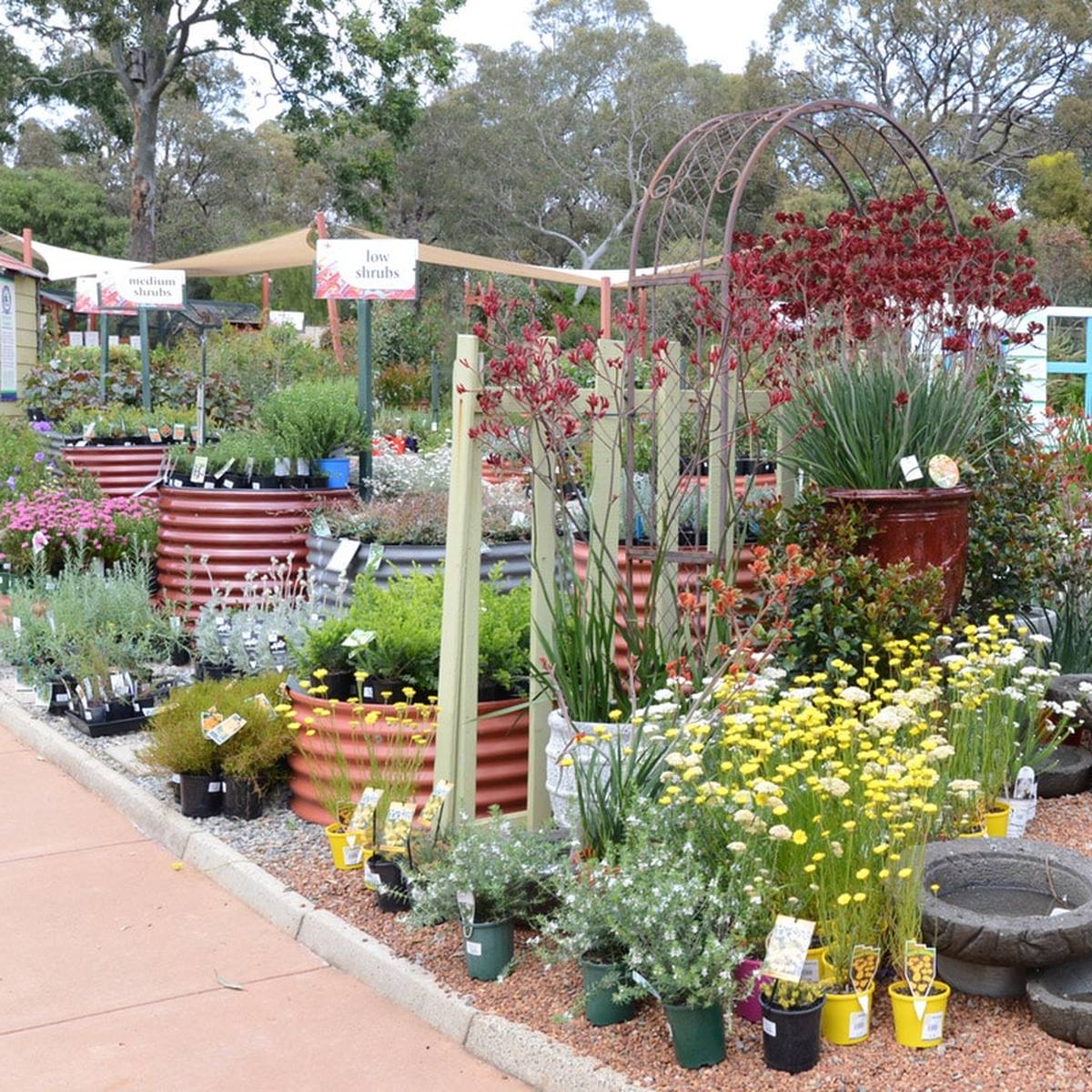Zanthorrea Nursery, Kalamunda WA
