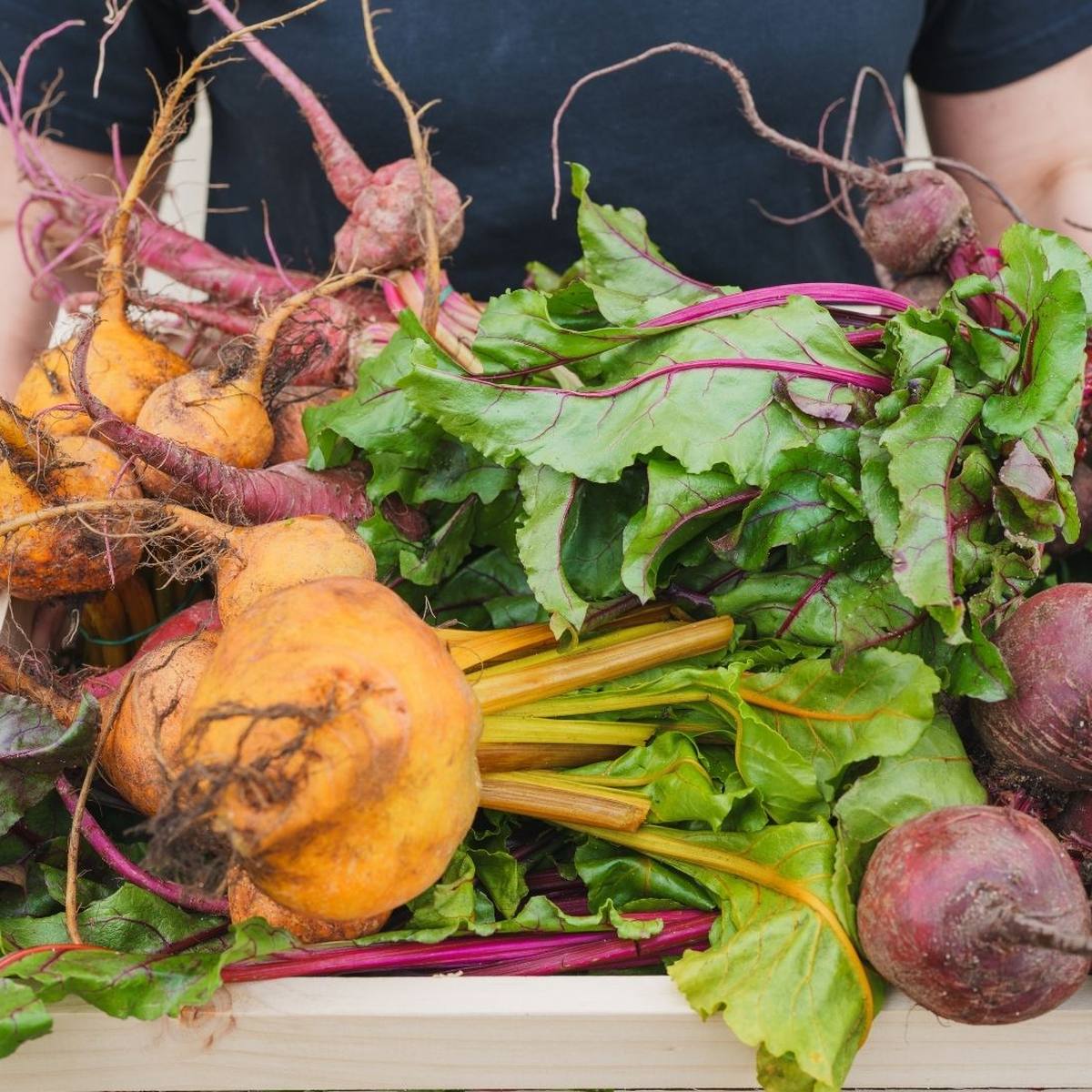 The Garden Basket, Margaret River WA