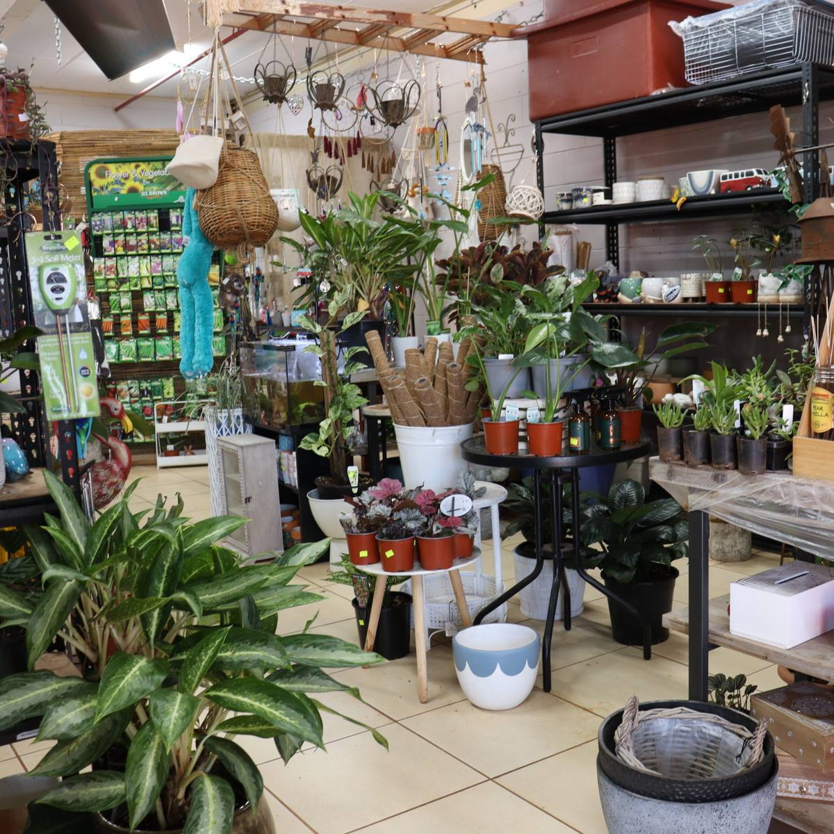 The Place: Plants, Printing & Stuff, Newman (filed under East Pilbara 932) WA