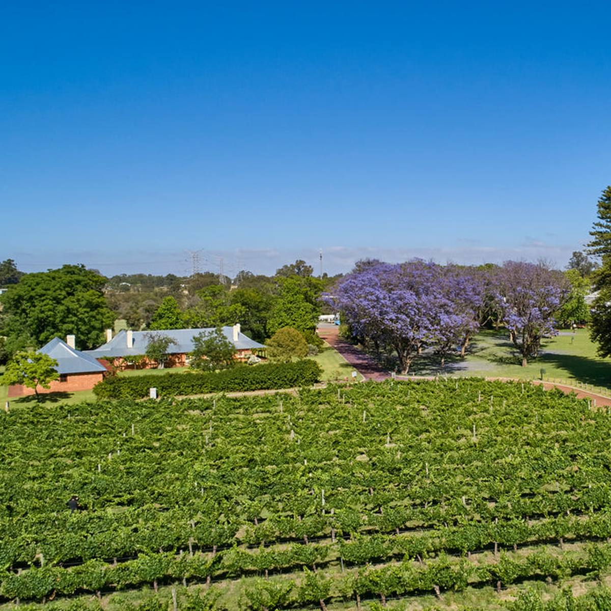 Nikola Estate, Swan WA