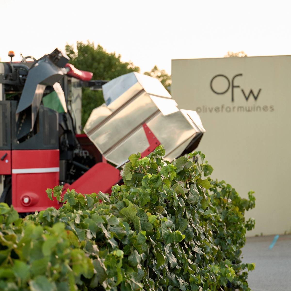 Olive Farm Wines, Swan WA