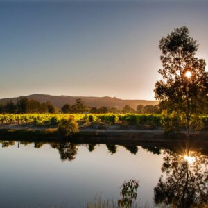Windy Creek Estate, Swan WA