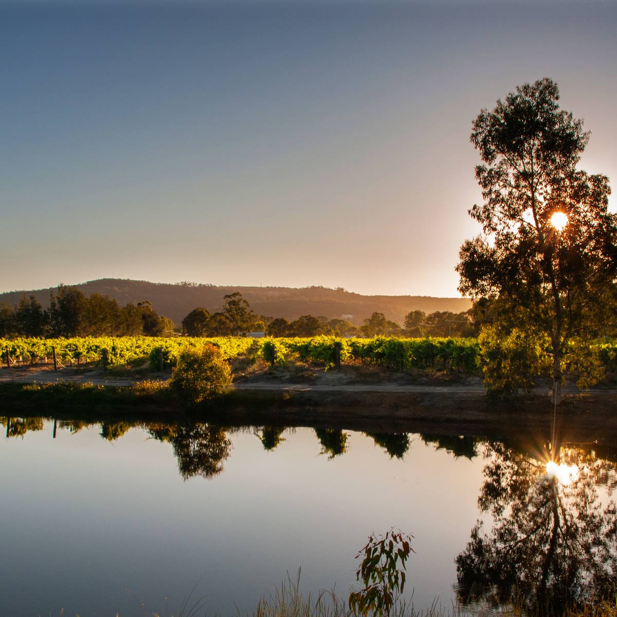 Windy Creek Estate, Swan WA