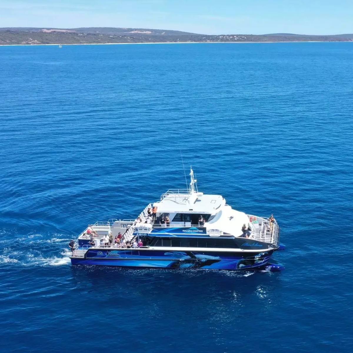 Naturaliste Charters, Busselton WA