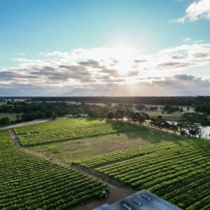Capel Vale Wines, Capel WA